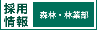 採用情報